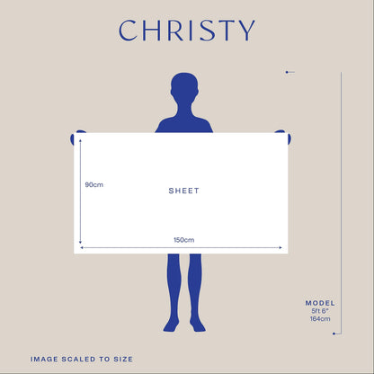 Christy Antalya Large Bath Sheets | Set of 2 | 100% Turkish Cotton | 600GSM | Soft Plush Luxury Bath Towels | 90cm x 150cm | Quick Dry | Jade Teal