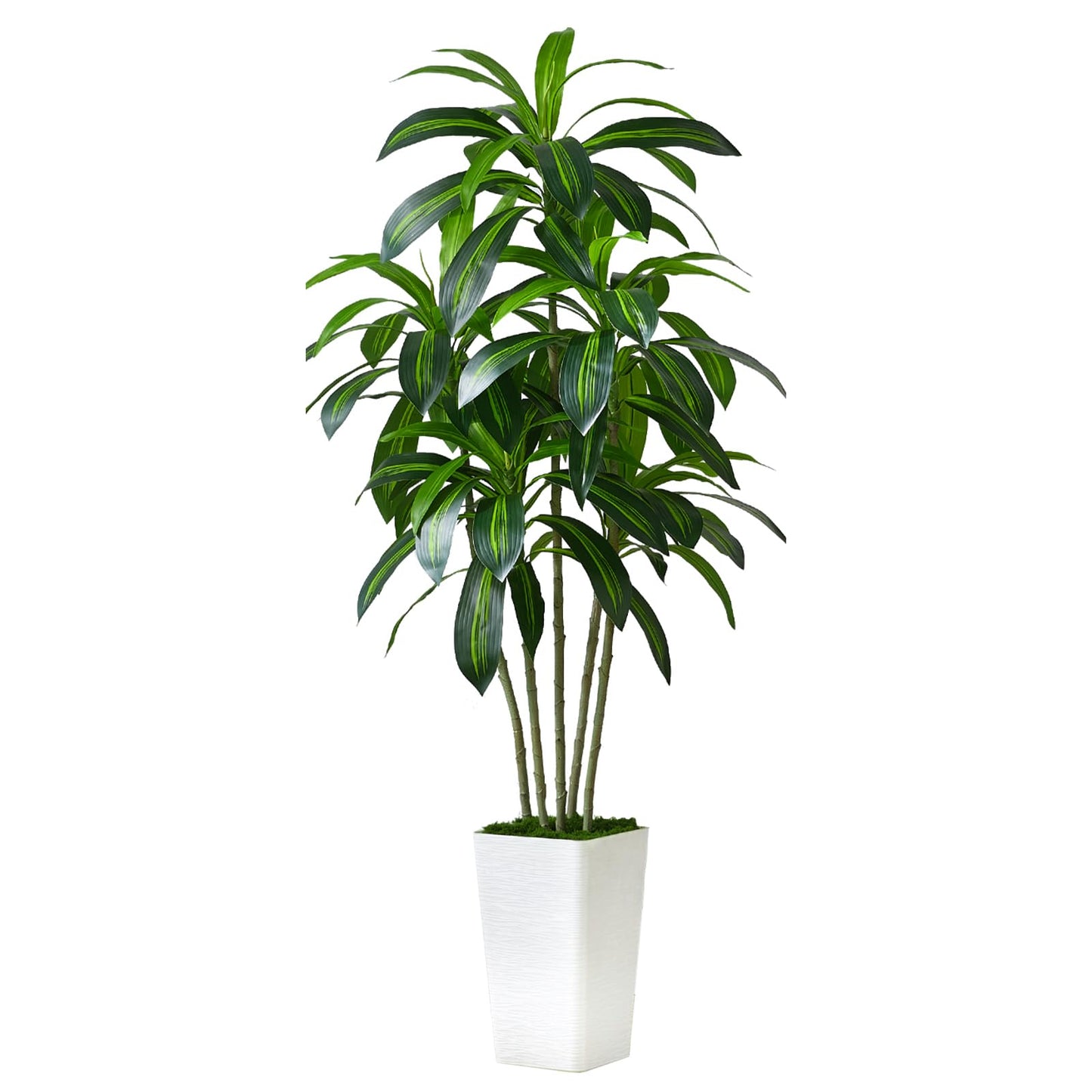 Artificial Dracaena Plant Indoor 5FT Fake Tree with White Tall Planter, Tall Fake Floor Plant in Pot, Artificial SilkPlant for Home Decor Office