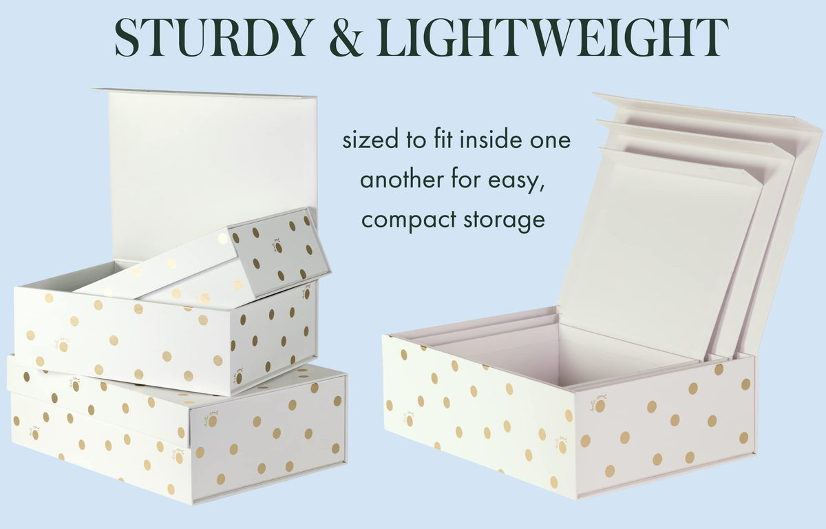 Kate Spade New York Decorative Storage Boxes with Lids, 3 Pack Sturdy Organizer Storage Bins
