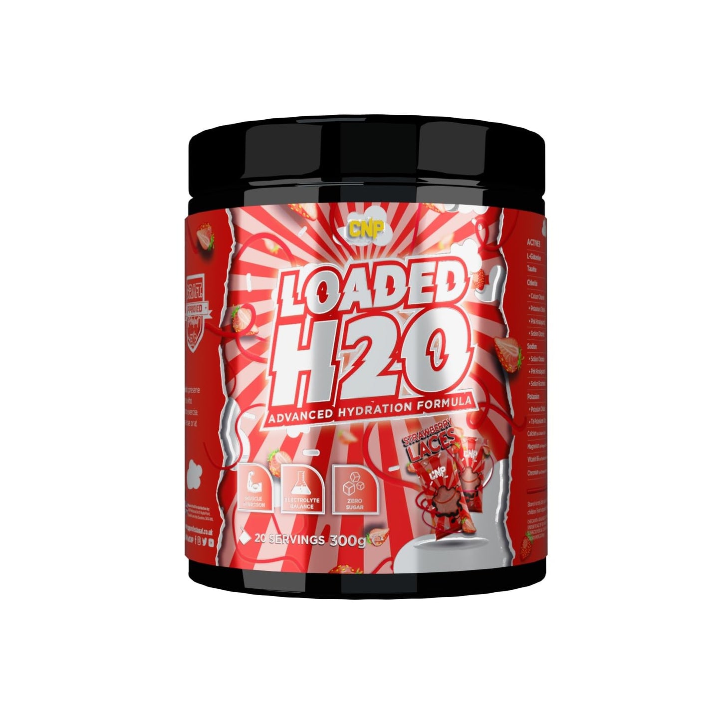 CNP Professional Loaded H20 Advanced Hydration Formula with Potassium, Sodium & Chloride for Electrolyte Balance. 20 Servings, 300g 5 Mouth-Watering
