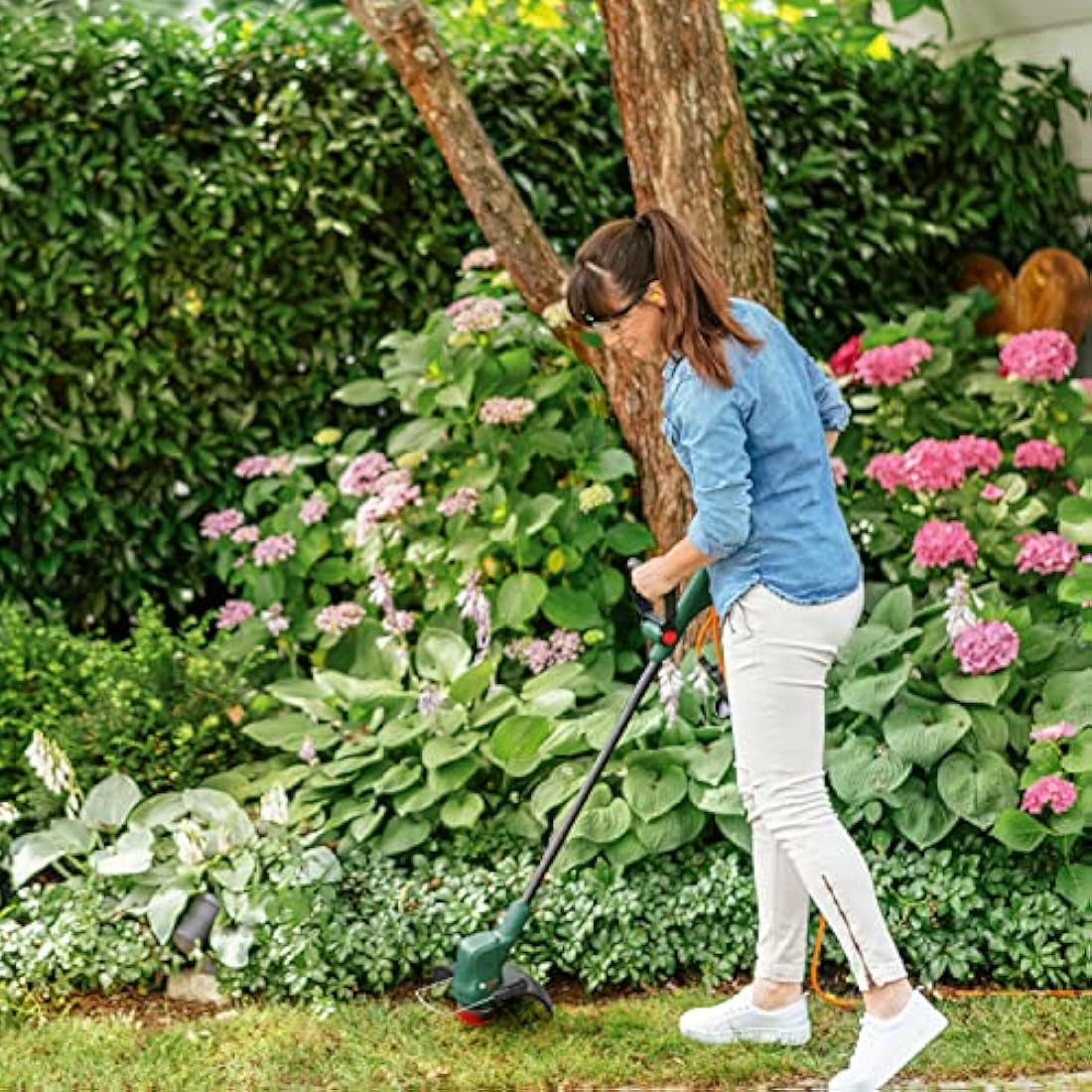 Bosch Electric Grass Trimmer EasyGrassCut 23 (280 Watt, Cutting Diameter 23 cm, in Carton Packaging)