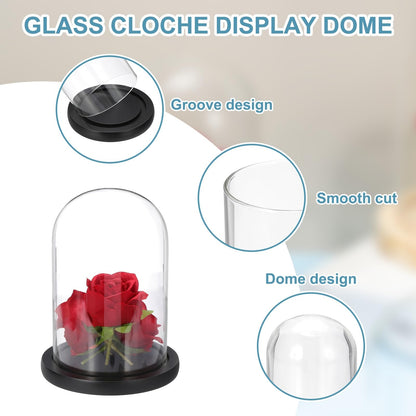 sourcing map Glass Cloche Display Dome, 7" x 4.7" Glass Dome Display Case Wood Base Tabletop Jar Case Decorative Bell Jar for Plant Home Decor Office