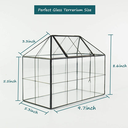 Large Glass Greenhouse Succulent Plant Terrarium with lid Geometric Tabletop