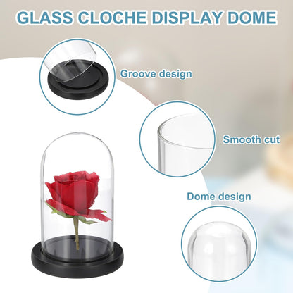 sourcing map Glass Cloche Display Dome, 6.2" x 3.9" Glass Dome Display Case Wood Base Tabletop Jar Case Decorative Bell Jar for Plant Home Decor
