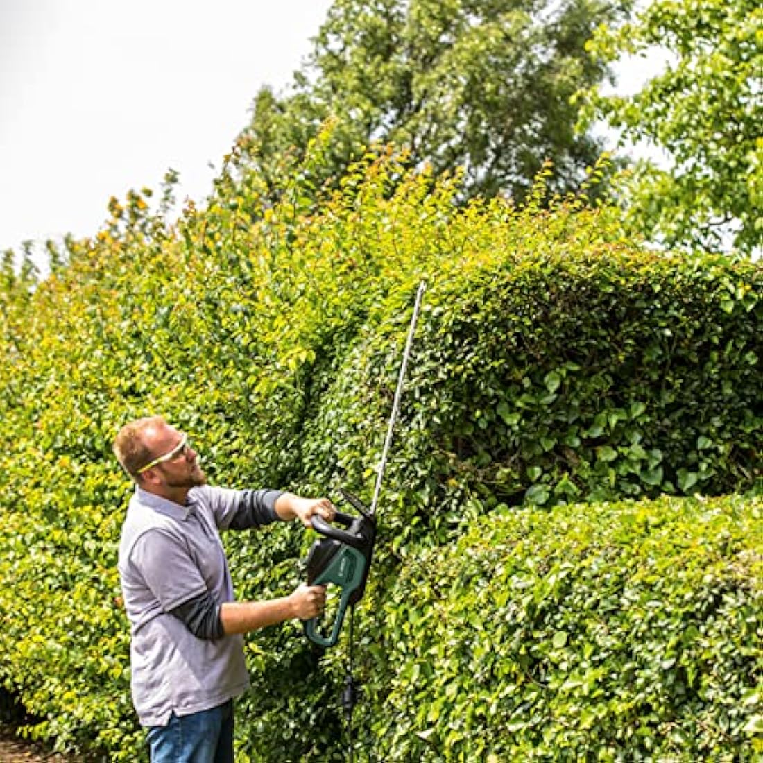 Bosch Hedge Trimmer UniversalHedgeCut 60 (480 W, Blade Length: 60 cm, for Medium Hedges, Tooth Opening: 30 mm, in Carton Packaging)