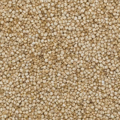 Wholefood Earth Organic Quinoa Grain – 3 kg | Raw | GMO Free | Vegan | High Fibre | Certified Organic