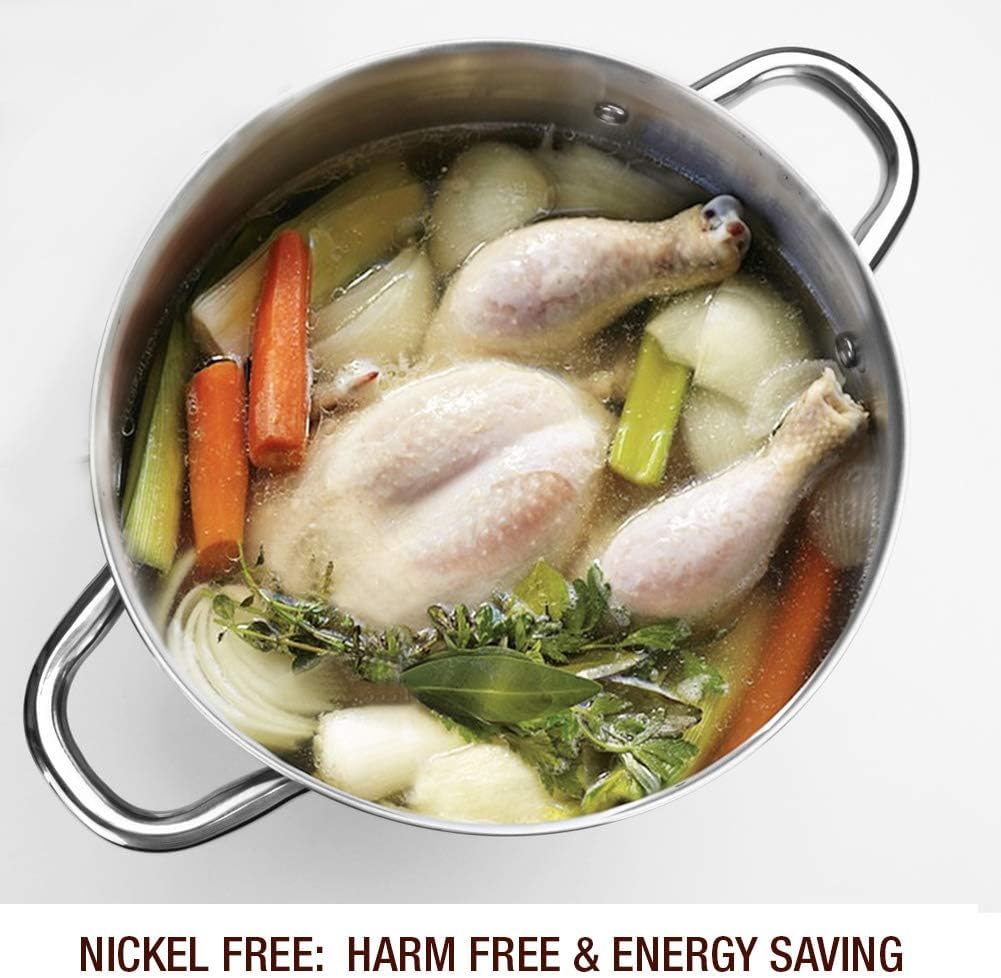 HOMICHEF Stock Pot 24.5 cm 9.5 Litre with Glass Lid - Nickel Free Stainless Steel 9.5 Litre Pot with Handle - Mirror Polished Stock Pot 9.5 Litre -