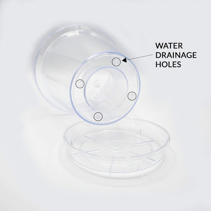 Kalapanta Transparent Plastic Pot for Orchids, with Drainage Holes and Saucer (2, ? 16 cm)