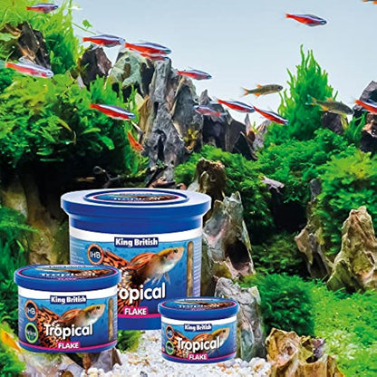 King British | Tropical Fish Flake With Immuno Health Booster | Complete Food for Tropical Fish | Helps Prevent Infection and Disease | High Protein Content | Includes Essential Vitamins | 28g