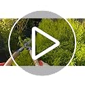 Spear & Jackson 5768KEW Kew Gardens Woodland Collection Garden Hedge Shears