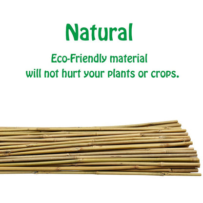 Mininfa Natural Bamboo Canes 5 Feet, Bamboo Stake, Eco-friendly Garden Stakes, Plant Stakes Supports Climbing for Tomatoes, Trees, Beans, 20 Pack
