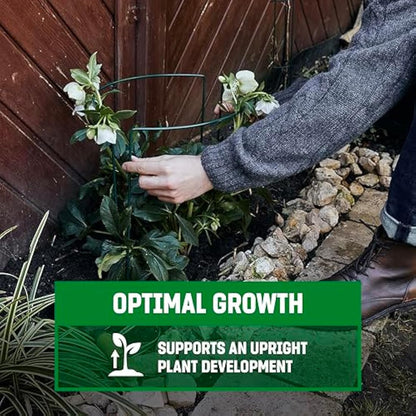GardenGloss Shrub Supports (10 pcs) - Semicircular 35cm x 40cm - Dark Green Coated Steel Plant Support