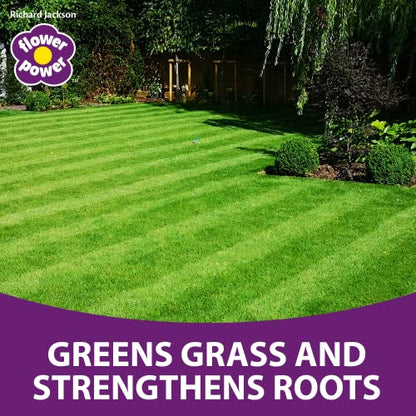 Richard Jackson Flower Power Premium Lawn Magic, Lawn Feed for Gardens, Greens the Grass & Strengthens the Roots (5L)