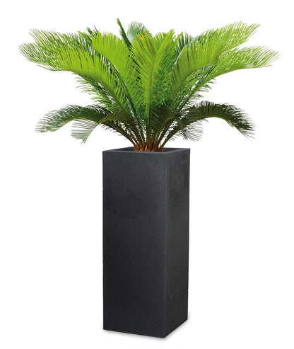 Scheurich Planter, Stony Black, 26 x 26 x 70 cm