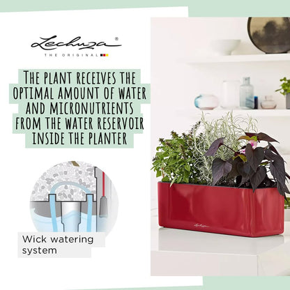LECHUZA Self Watering Plant Pots Indoor CUBE Glossy Triple Plastic Planter without Drainage Hole H14 L40 W14 cm Red High-Gloss