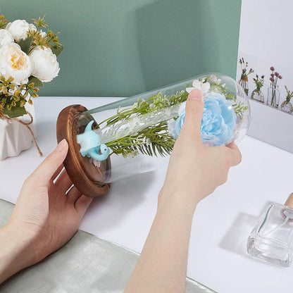 NBEADS Clear Glass Dome, Clear Glass Display Case with Camel Wood Base Decorative Display Dome Case for Plants Flower Display Photos Medals
