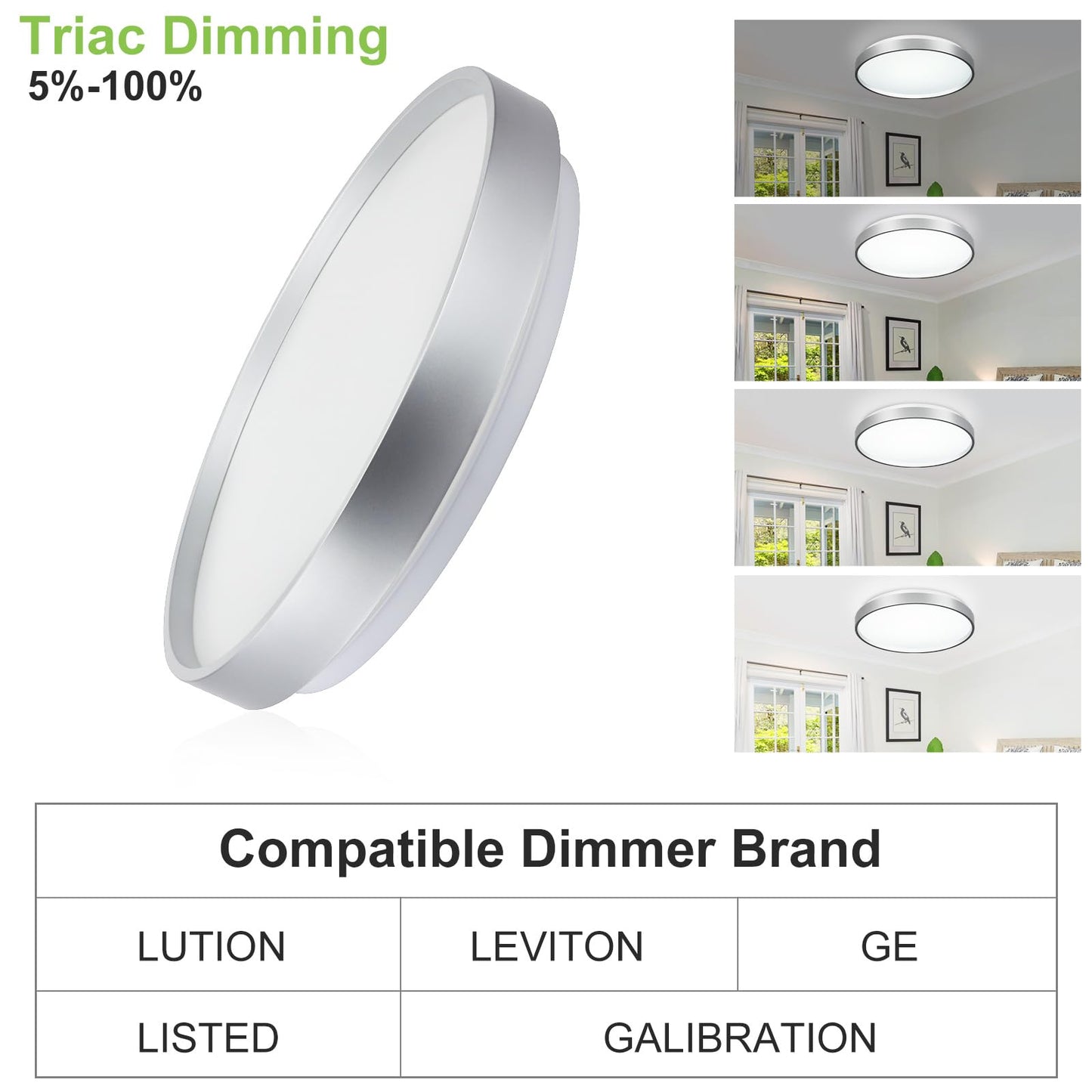 DINGLILIGHTING 24W Modern LED Flush Mount Ceiling Light, 13 Inch Silver Low Profile Light Fixture, Thin Round Close to Ceiling Lights for Kitchen