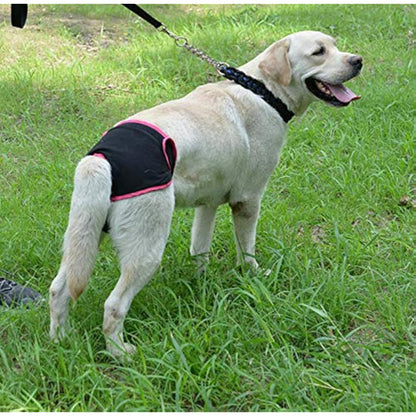 Diyafas 2 Pack Reusable Dog Nappies Physiological Pants Underwear Female Pet Sanitary Pads Hygiene Diapers for Small Medium and Large Dogs