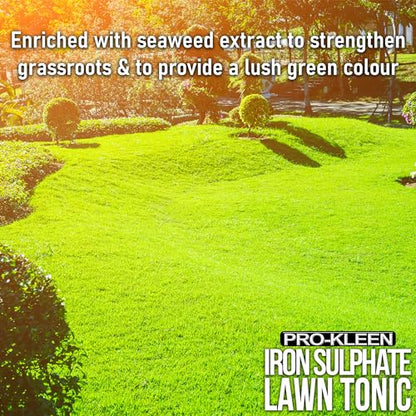 Pro-Kleen Lawn Tonic Liquid Iron Sulphate Quality Ferrous Conditioner, Fertiliser, Grass Greener, Turf Hardener | Long-Lasting for a Healthier Looking Garden | Helps Prevent Lawn Disease (5 Litres)