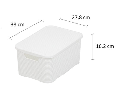 BranQ Home essential Basket with Lid in Rattan Design, Set of 2, Size M, 19 L, BPA-Free Plastic PP, White, 28.8 x 19.7 x 16.2 cm, Pack of 2