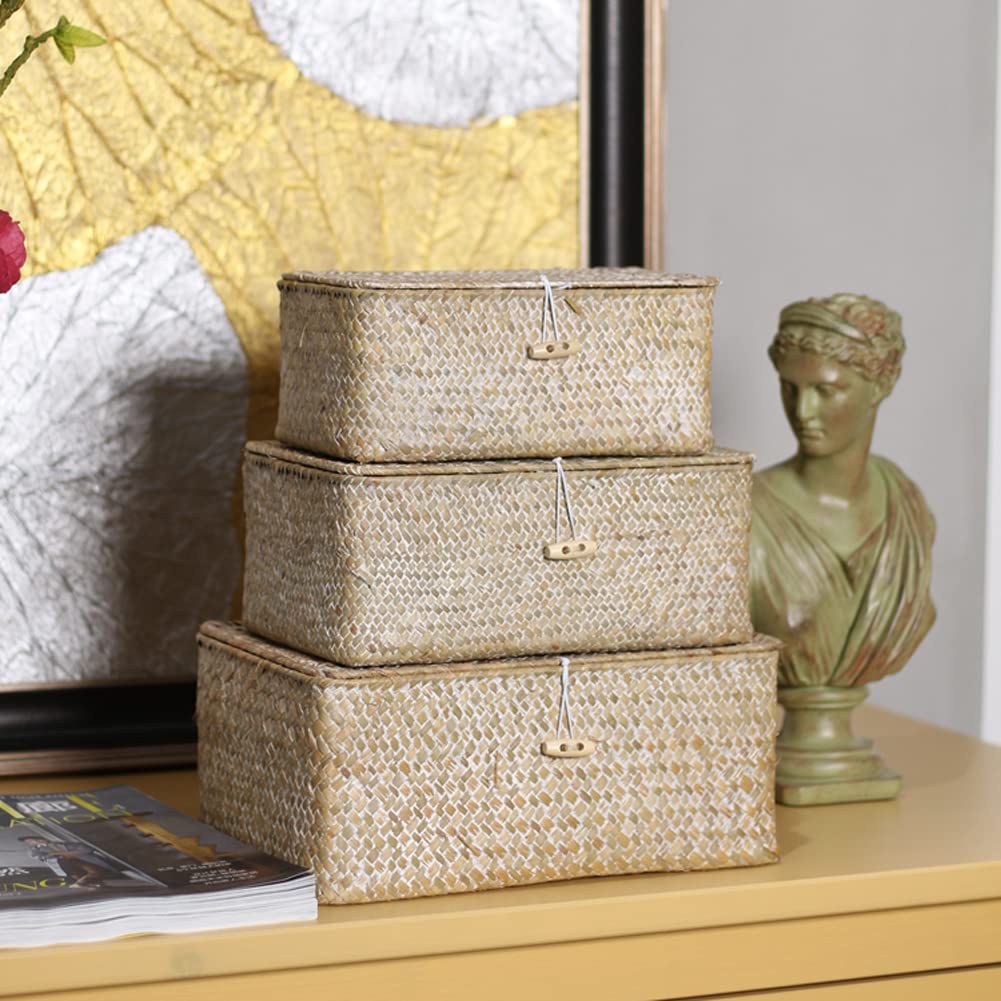 HAPYFURN Seagrass Storage Basket with Lid Rectangular Box for Toys Clothes Books Keys Natural Rattan Woven Multifunctional Makeup Organizer Set of 3