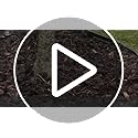 Easy to Install Lawn Edging Border - Simply Hammer into Place, No Trenches to Dig - Durable & Flexible Garden Edging - Invisible Grass & Path Edge from Recycled Plastic - 10.7 m / 35 ft Long