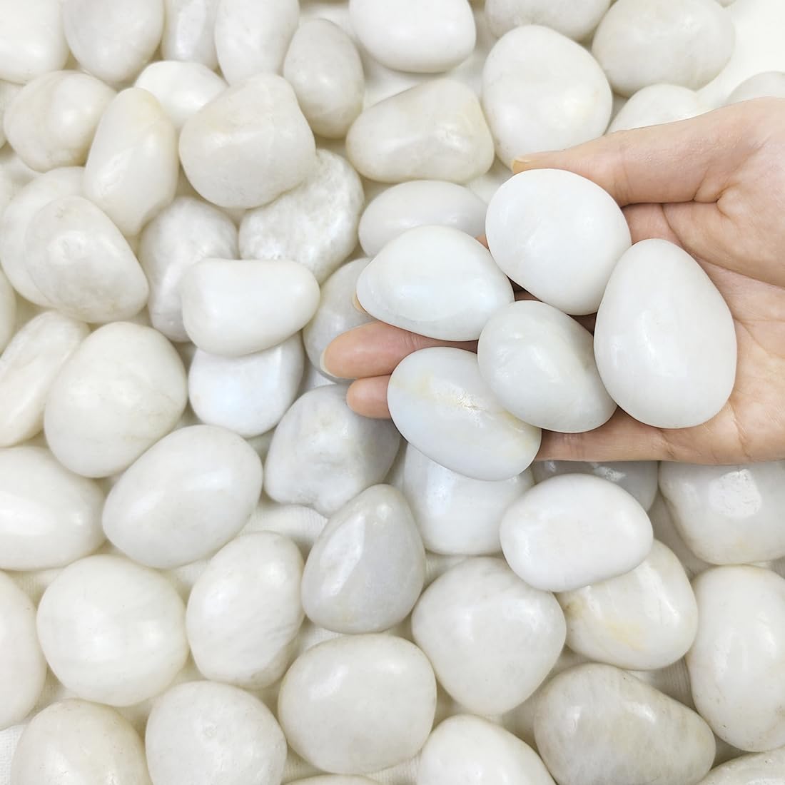 FANTIAN 9.1 Kgs White Decorative Stones for Garden, 30-50 mm White Pebbles for Plant Pots, Aquarium Rocks, Vase, Ponds and Fountain