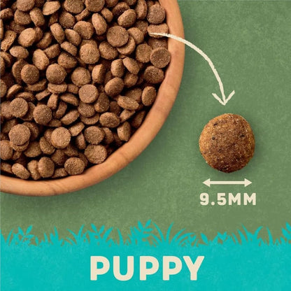 Harringtons Complete Puppy Dry Dog Food Salmon & Rice 10kg - Made with All Natural Ingredients