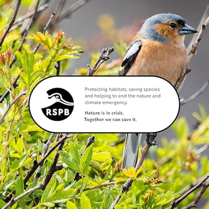 RSPB - Bird Seed Feeder, Hanging Bird Feeder, Easy to Clean, Caged and Squirrel Proof, Suitable for Year-Round Feeding, Quick Assembly, Durable