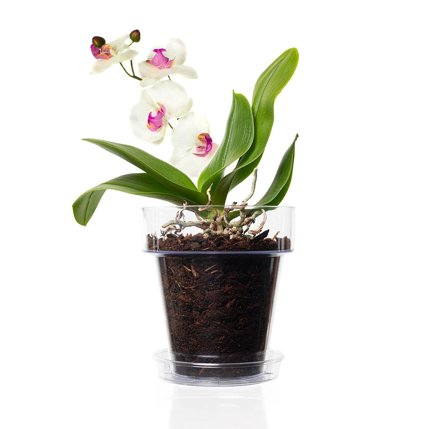 Kalapanta Clear Plastic Orchid Pot with Drainage Holes and Saucer (3, 16 cm Diameter)
