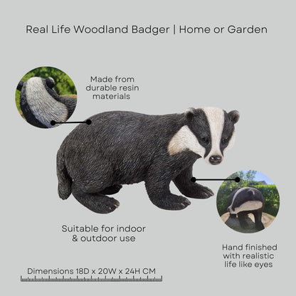 Real Life Woodland Badger | Highly Detailed Frost Resistant Resin Home or Garden Decoration | XRL-BADG-D