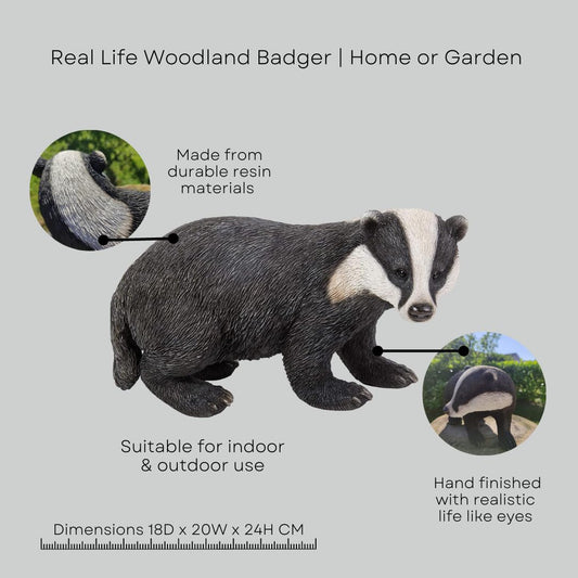 Real Life Woodland Badger | Highly Detailed Frost Resistant Resin Home or Garden Decoration | XRL-BADG-D