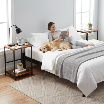 AMHANCIBLE Side Table, Bedside Table, 2-Tier Coffee Table for living room