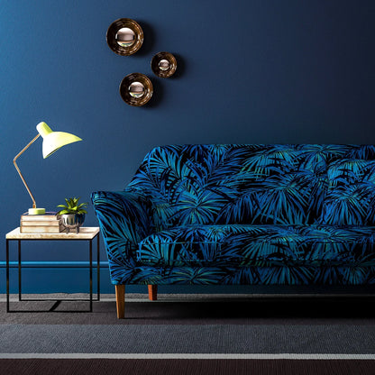 Butterfly Palm