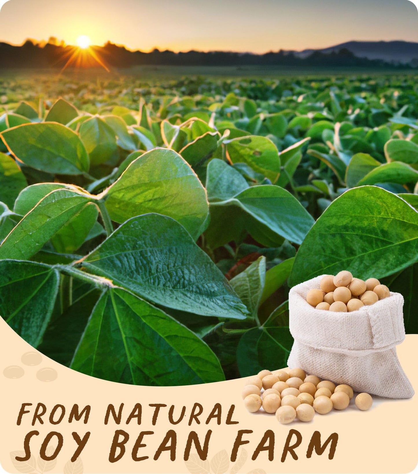 Soy Wax, BOYUJK Premium Natural Candle Wax, 100% Soy Wax for Candle Making from Organic Farm, No additives, Harmless and Pure (5KG)