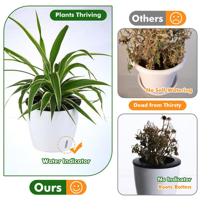 6 Pack-6.7 Inch White Self Watering Plant Pots for Indoor Plants with Water Indicator and Black Wick Pots, Large African Violet Pots, Self-Watering
