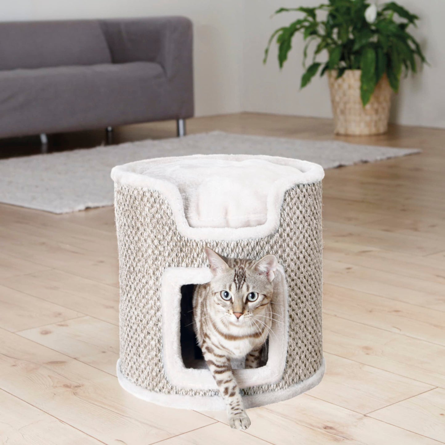 Trixie Pet Products Ria Cat Tower