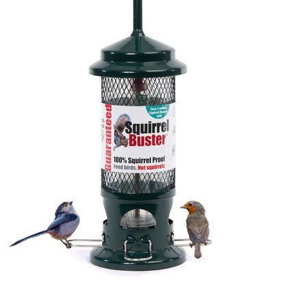 Squirrel Proof Bird Feeder for Seeds - Jacobi Jayne? Squirrel Buster? Seed Bird Feeder ? Pigeon Proof Metal Bird Seed Feeder for Wild Birds ? Easy