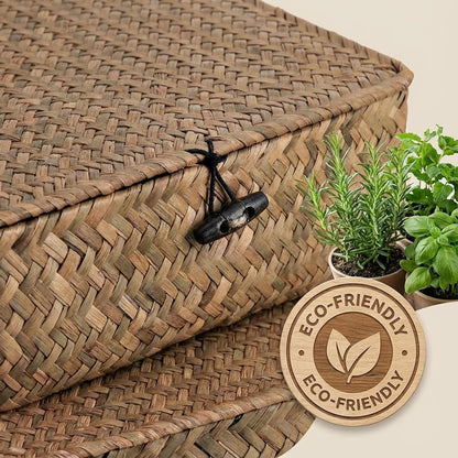 Elsjoy 2 Pack Seagrass Storage Box with Lid, Wicker Storage Baskets Flat Rattan Storage Bins, Woven Organizer Baskets for Shelf, Closet, Bedroom