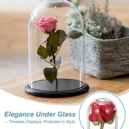 sourcing map Glass Cloche Display Dome, 6.2" x 3.9" Glass Dome Display Case Wood Base Tabletop Jar Case Decorative Bell Jar for Plant Home Decor
