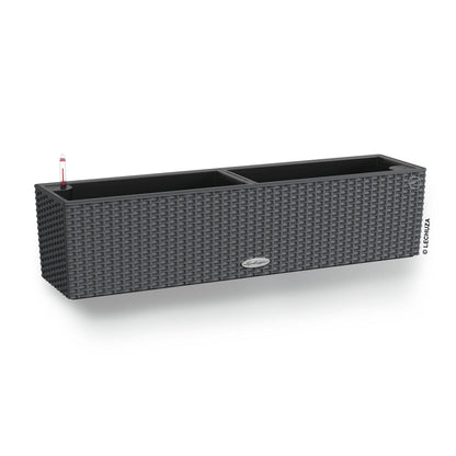 Lechuza Self Watering Plant Pot BALCONERA Cottage 80 Indoor and Outdoor Flower Rattan Look Plastic Plant Pot and Window Box with Drainage Hole H19 L80