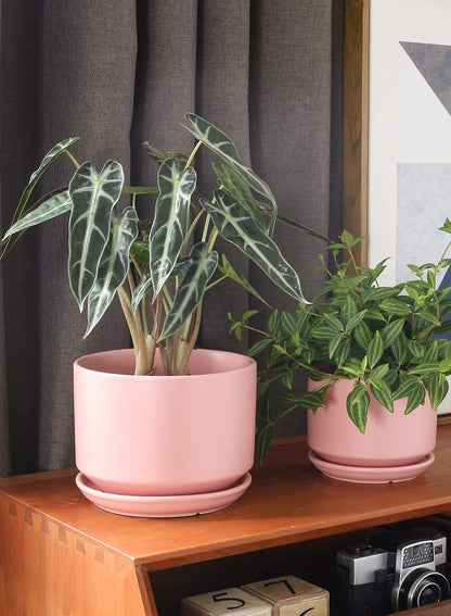 LE TAUCI Ceramic Plant Pots, 11+13+17 cm Planters, Set of 3 Planters with Drainage Hole and Saucer, Indoor Plant Pot with Hole Mesh Pad, Gifts for