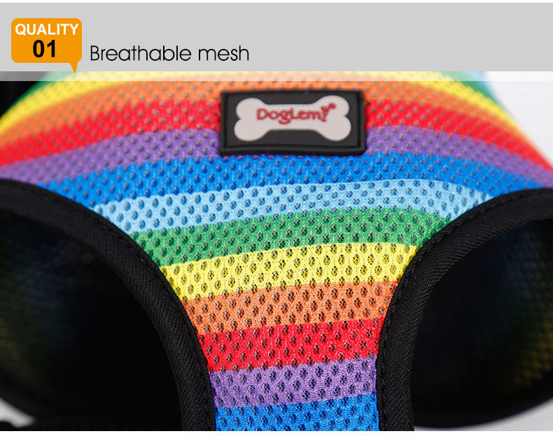 Rainbow chest strap