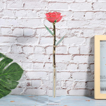 Acrylic Display Stand Transparent Rose Single Flower Show Base for Home Desktop Decoration