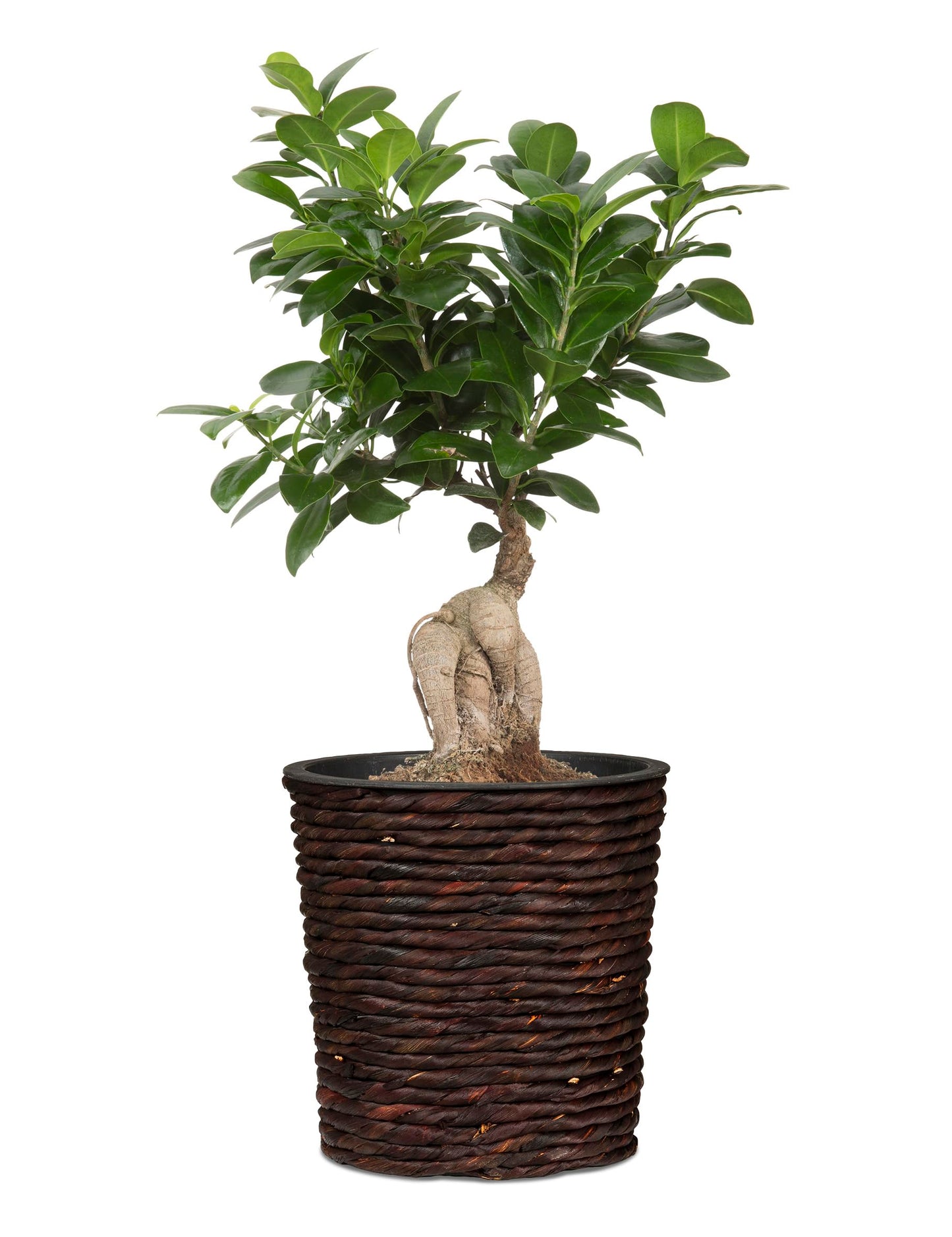 Scheurich Basket Vessel, Brown, 4