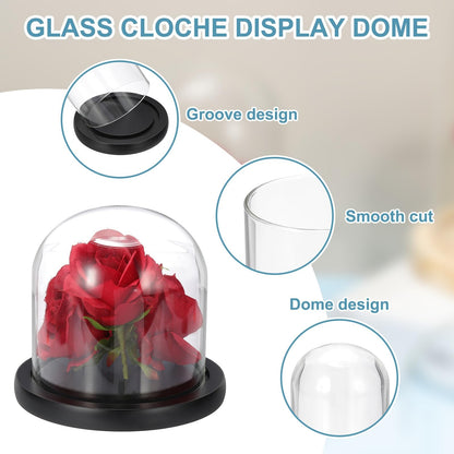 sourcing map Glass Cloche Display Dome, 4.7" x 4.7" Glass Dome Display Case Wood Base Tabletop Jar Case Decorative Bell Jar for Plant Home Decor