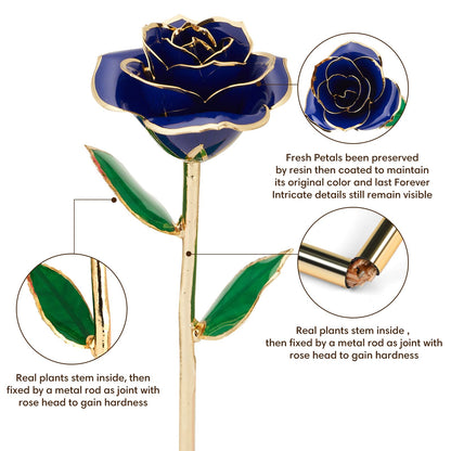 Ariceleo Gold Dipped Infinity Rose Last Forever Flower Decor, Birthday Gift for Women in Her Birthday Valentines Day Mothers Day, Resin Preserved Rose