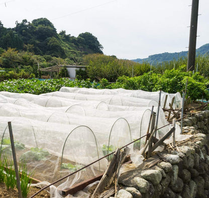Garden Insect Netting Fine Mesh: 3x15m Vegetable Protection Net Butterfly Netting for Plant Fruit Carrot fly Crop Protect Anti Bug Pest Silver