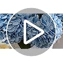 Kisflower 3pcs Latex Hydrangea Flowers - Real Touch Artificial Flower Fake Hydrangea Bouquet Flowers with Stems for Wedding Party Office Home Decoration(Pink)