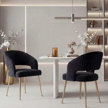 younturn Modern Velvet Upholstered Dining Chairs Set of 2, Comfortable Padded Kitchen Chairs with Armrests